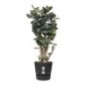 ELHO Greenville Pot de fleurs rond 47 - Noir - Ø 47 x H 44 cm - extérieur - 100% recyclé