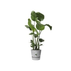 ELHO Pot de fleurs rond Greenville 30 - Extérieur - Ø 29,5 x H 27,8 cm - Gris béton vivant