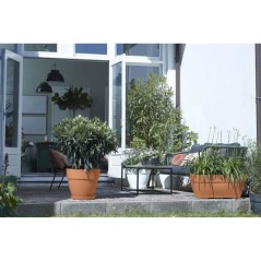 Elho Vibia Campana Bac a fleurs Terrasse 80 - Marron - L 77 x B 35 x H 33 cm - extérieur - 100% recyclé