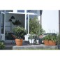 Elho Vibia Campana Bac a fleurs Terrasse 80 - Marron - L 77 x B 35 x H 33 cm - extérieur - 100% recyclé