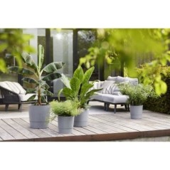 Pot de fleur Elho Plastique Carré Greensense Aqua Care Ciment Clair 29,5 x 29,,5 x H 29,1 cm 15 L