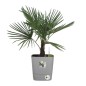 Pot de fleurs ELHO - Greensense Aqua Care Carré 38 - Ciment Clair - Intérieur/extérieur - Ø 38 x H 38.9 cm