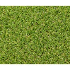 Gazon synthétique - Exelgreen - Campus 25mm - 1m x 5m