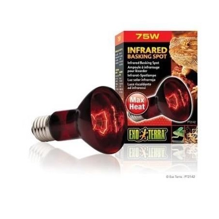 BASKING SPOT lampe infrarouge 75 W