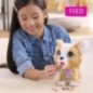 Jouet interactif - FURREAL FRIENDS - Mon Copain qui Fait Popo 23 cm - Animal interactif avec laisse, friandises et pelle Jouet interactif - FURREAL FRIENDS - Mon Copain qui Fait Popo 23 cm - Animal interactif avec laisse, friandises et pelle