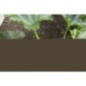 Manche télescopique GARDENA Combisystem 90-145cm | Support outils | Aluminium anti-dérapant | Garanti 25 ans Manche télescopique GARDENA Combisystem 90-145cm | Support outils | Aluminium anti-dérapant | Garanti 25 ans